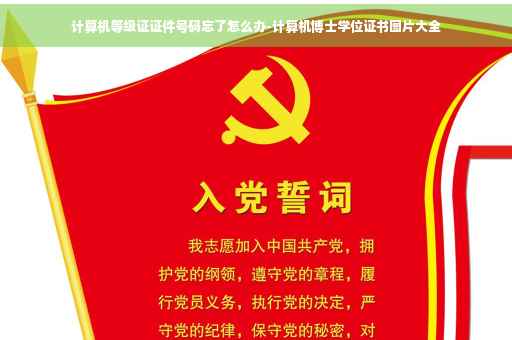 计算机等级证证件号码忘了怎么办-计算机博士学位证书图片大全