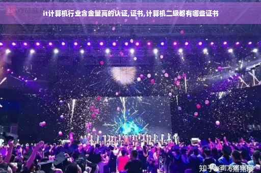 it计算机行业含金量高的认证,证书,计算机二级都有哪些证书