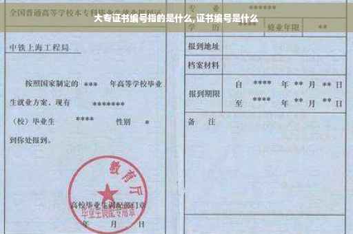 大专证书编号指的是什么,证书编号是什么