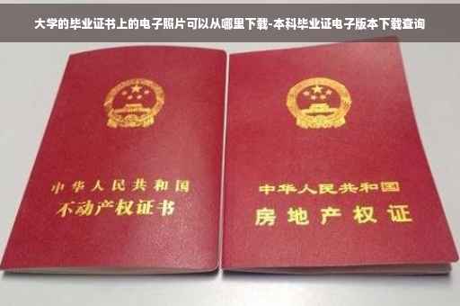 大学的毕业证书上的电子照片可以从哪里下载-本科毕业证电子版本下载查询