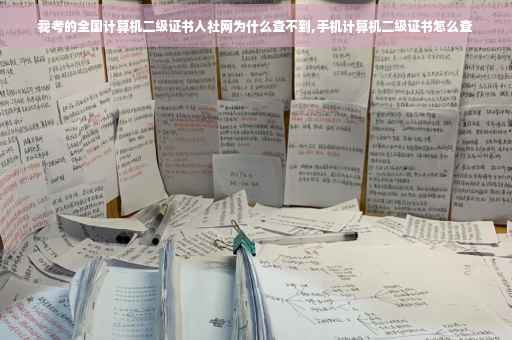 我考的全国计算机二级证书人社网为什么查不到,手机计算机二级证书怎么查