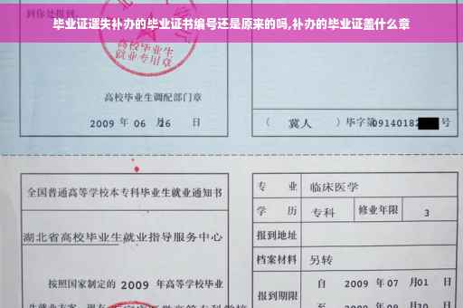 毕业证遗失补办的毕业证书编号还是原来的吗,补办的毕业证盖什么章