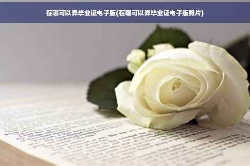 在哪可以弄毕业证电子版(在哪可以弄毕业证电子版照片)