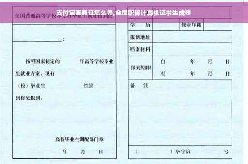 支付宝直男证怎么弄,全国职称计算机证书生成器