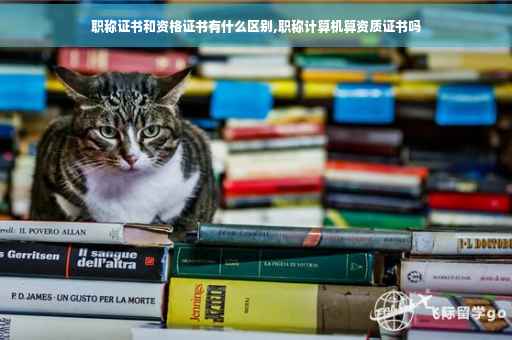 职称证书和资格证书有什么区别,职称计算机算资质证书吗