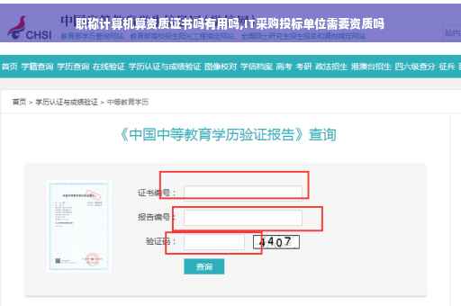 职称计算机算资质证书吗有用吗,IT采购投标单位需要资质吗