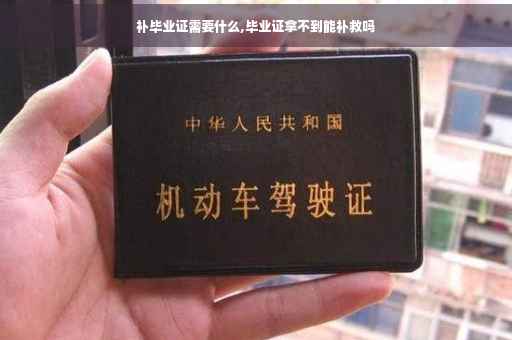 补毕业证需要什么,毕业证拿不到能补救吗