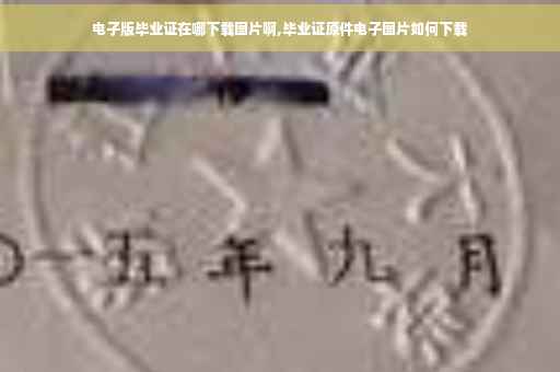 电子版毕业证在哪下载图片啊,毕业证原件电子图片如何下载