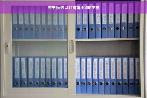 药宁原r名,211有博士点的学校