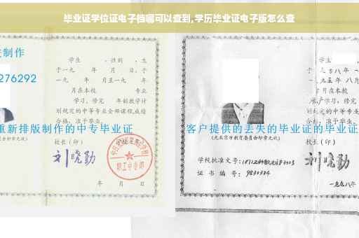 毕业证学位证电子档哪可以查到,学历毕业证电子版怎么查