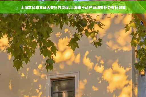 上海本科毕业证丢失补办流程,上海市不动产证遗失补办有何政策