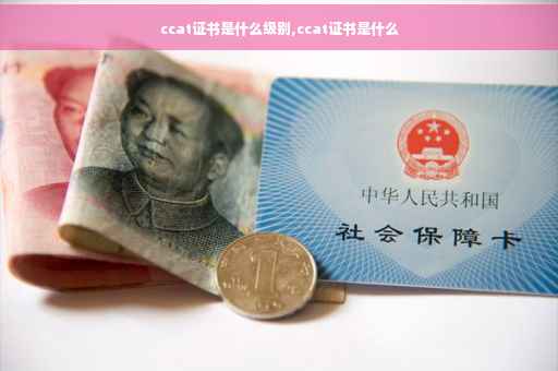 ccat证书是什么级别,ccat证书是什么