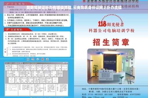 昆明驾驶证补办有哪些流程,云南昆明身份证网上补办流程