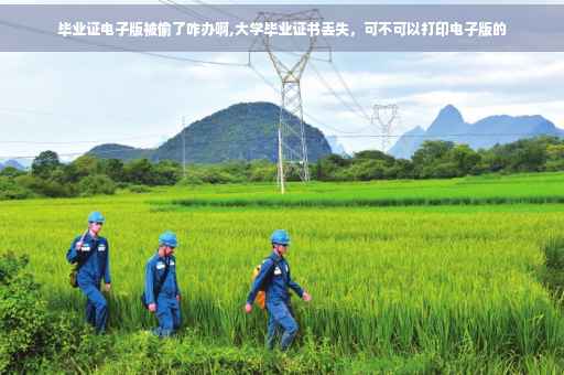 毕业证电子版被偷了咋办啊,大学毕业证书丢失，可不可以打印电子版的