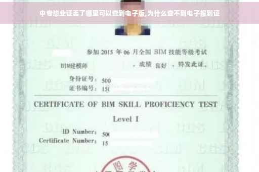 中专毕业证丢了哪里可以查到电子版,为什么查不到电子报到证