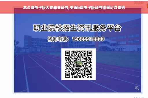 怎么查电子版大专毕业证书,英语b级电子版证书哪里可以查到