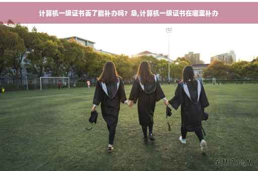 计算机一级证书丢了能补办吗？急,计算机一级证书在哪里补办