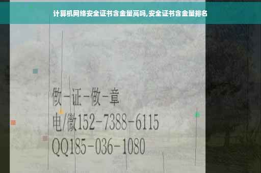 计算机网络安全证书含金量高吗,安全证书含金量排名