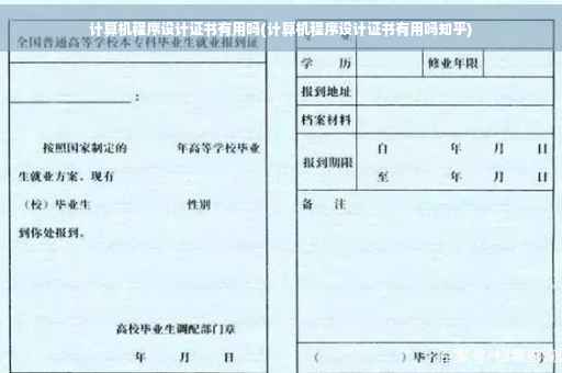 计算机程序设计证书有用吗(计算机程序设计证书有用吗知乎)