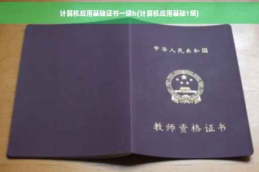 计算机应用基础证书一级b(计算机应用基础1级)