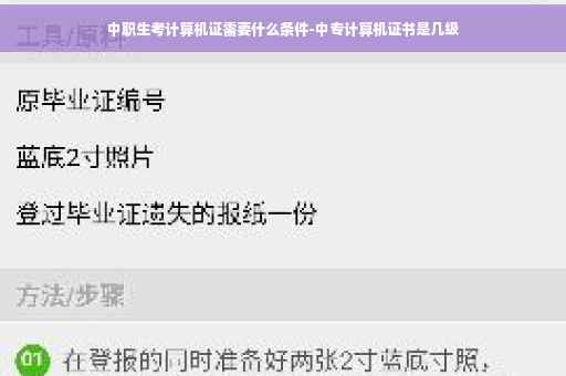 中职生考计算机证需要什么条件-中专计算机证书是几级