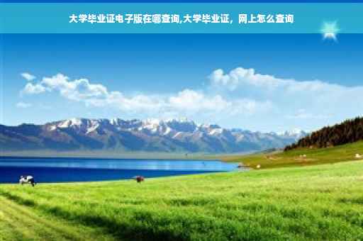 大学毕业证电子版在哪查询,大学毕业证，网上怎么查询