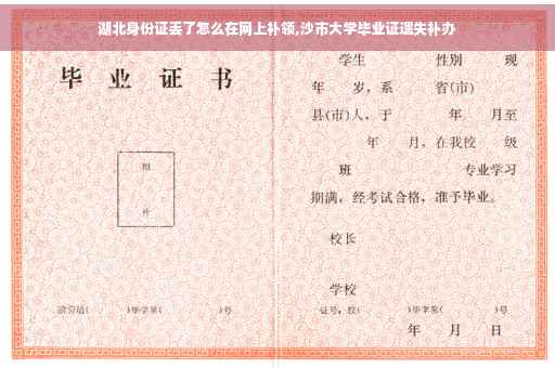 湖北身份证丢了怎么在网上补领,沙市大学毕业证遗失补办
