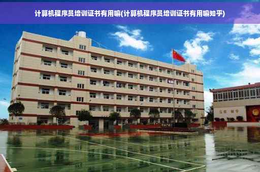计算机程序员培训证书有用嘛(计算机程序员培训证书有用嘛知乎)