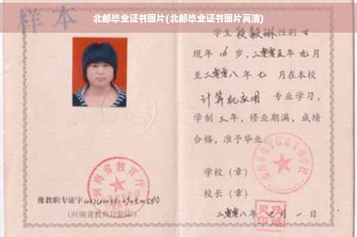 北邮毕业证书图片(北邮毕业证书图片高清)