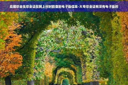 应届毕业生毕业证在网上何时能查到电子版信息-大专毕业证有没有电子版的