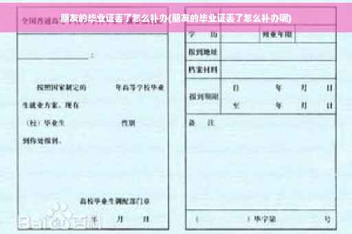 朋友的毕业证丢了怎么补办(朋友的毕业证丢了怎么补办呢)