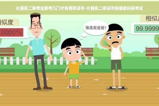 计算机二级考试要考几门才有等级证书-计算机二级证书报哪些科目考试