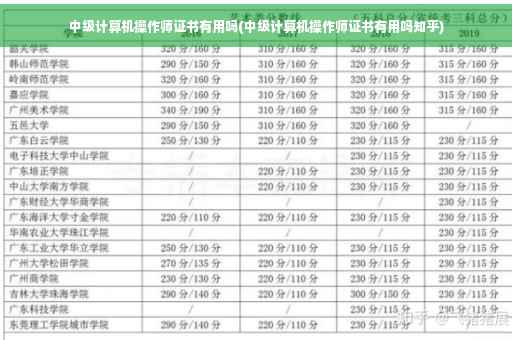 中级计算机操作师证书有用吗(中级计算机操作师证书有用吗知乎)