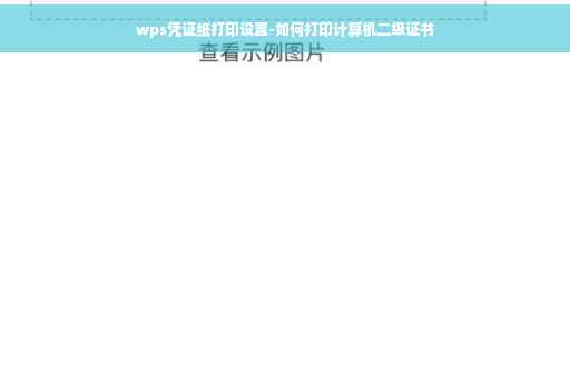 wps凭证纸打印设置-如何打印计算机二级证书