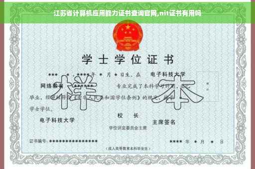 江苏省计算机应用能力证书查询官网,nit证书有用吗