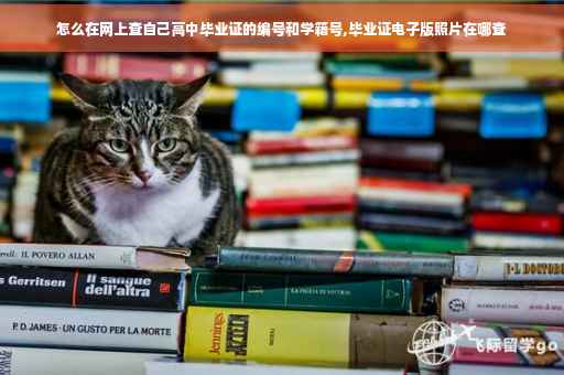 怎么在网上查自己高中毕业证的编号和学籍号,毕业证电子版照片在哪查