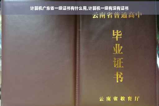 计算机广东省一级证书有什么用,计算机一级有没有证书
