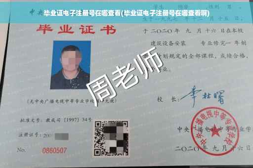 毕业证电子注册号在哪查看(毕业证电子注册号在哪查看啊)