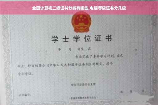 全国计算机二级证书分类有哪些,电脑等级证书分几级