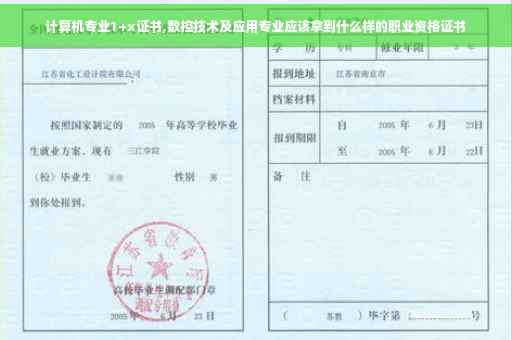 计算机专业1+x证书,数控技术及应用专业应该拿到什么样的职业资格证书