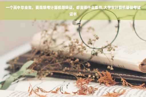 一个高中毕业生，要是想考计算机等级证，都需要什么条件,大学生计算机基础考试证书