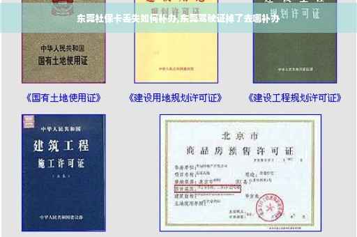 东莞社保卡丢失如何补办,东莞驾驶证掉了去哪补办