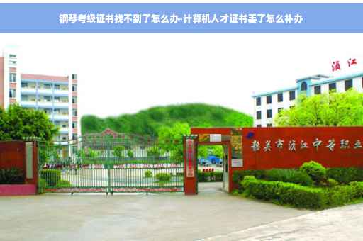 钢琴考级证书找不到了怎么办-计算机人才证书丢了怎么补办