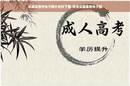 毕业证原件电子图片如何下载-毕业证哪里有电子版