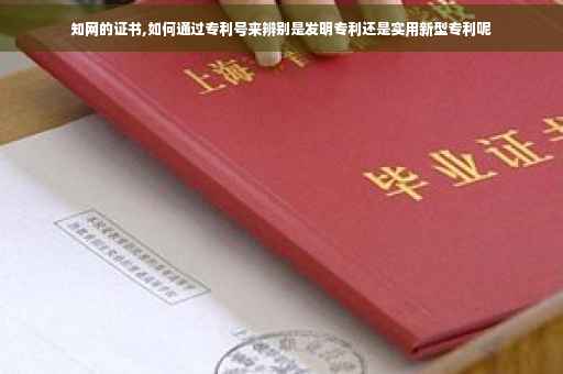 知网的证书,如何通过专利号来辨别是发明专利还是实用新型专利呢