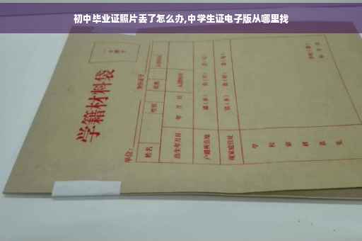 初中毕业证照片丢了怎么办,中学生证电子版从哪里找