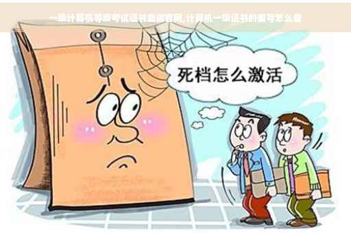 一级计算机等级考试证书查询官网,计算机一级证书的编号怎么查