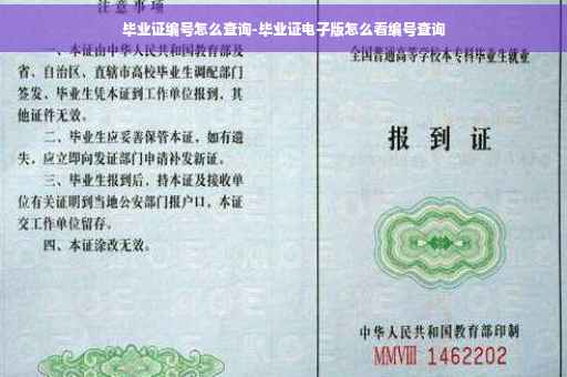 毕业证编号怎么查询-毕业证电子版怎么看编号查询