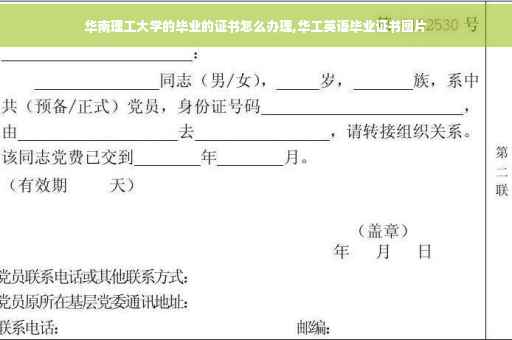 华南理工大学的毕业的证书怎么办理,华工英语毕业证书图片