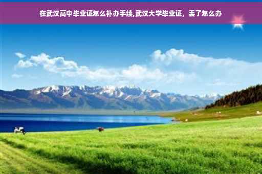在武汉高中毕业证怎么补办手续,武汉大学毕业证，丢了怎么办